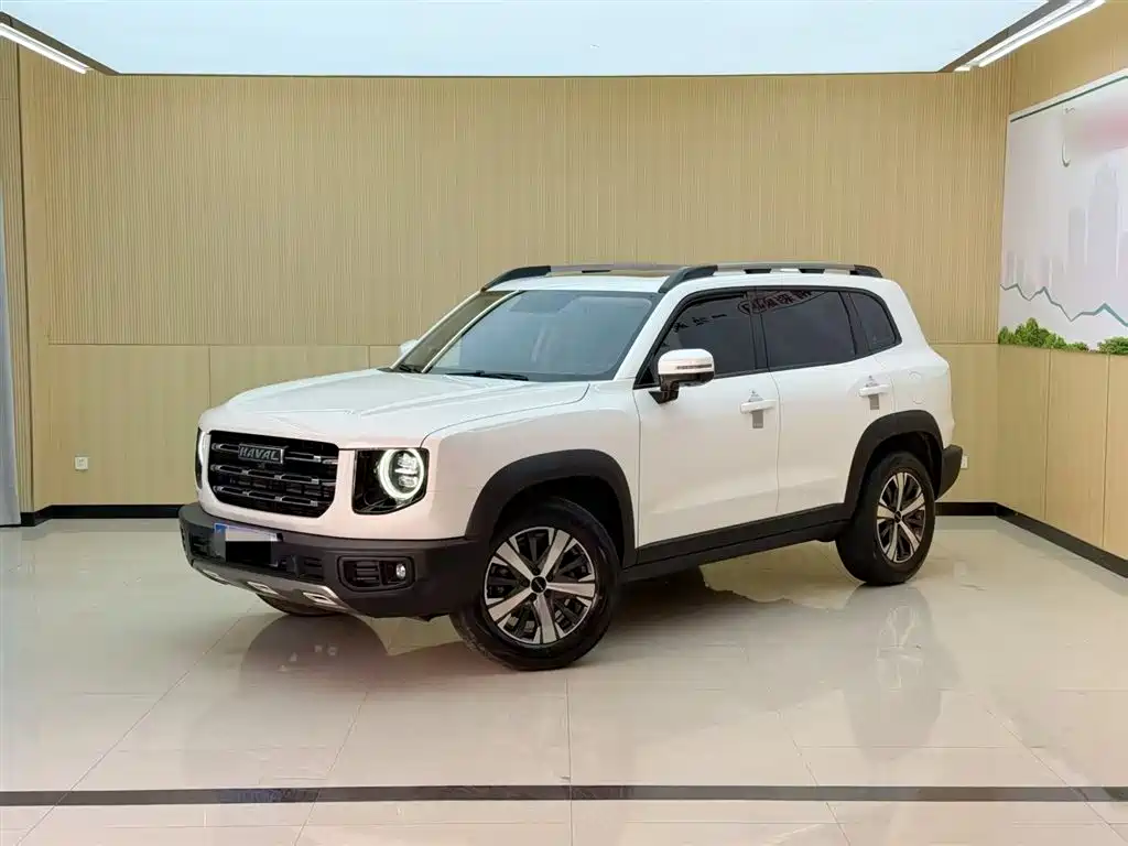 Haval Big Dog 2021 1.5T DCT 2WD Labrador Edition