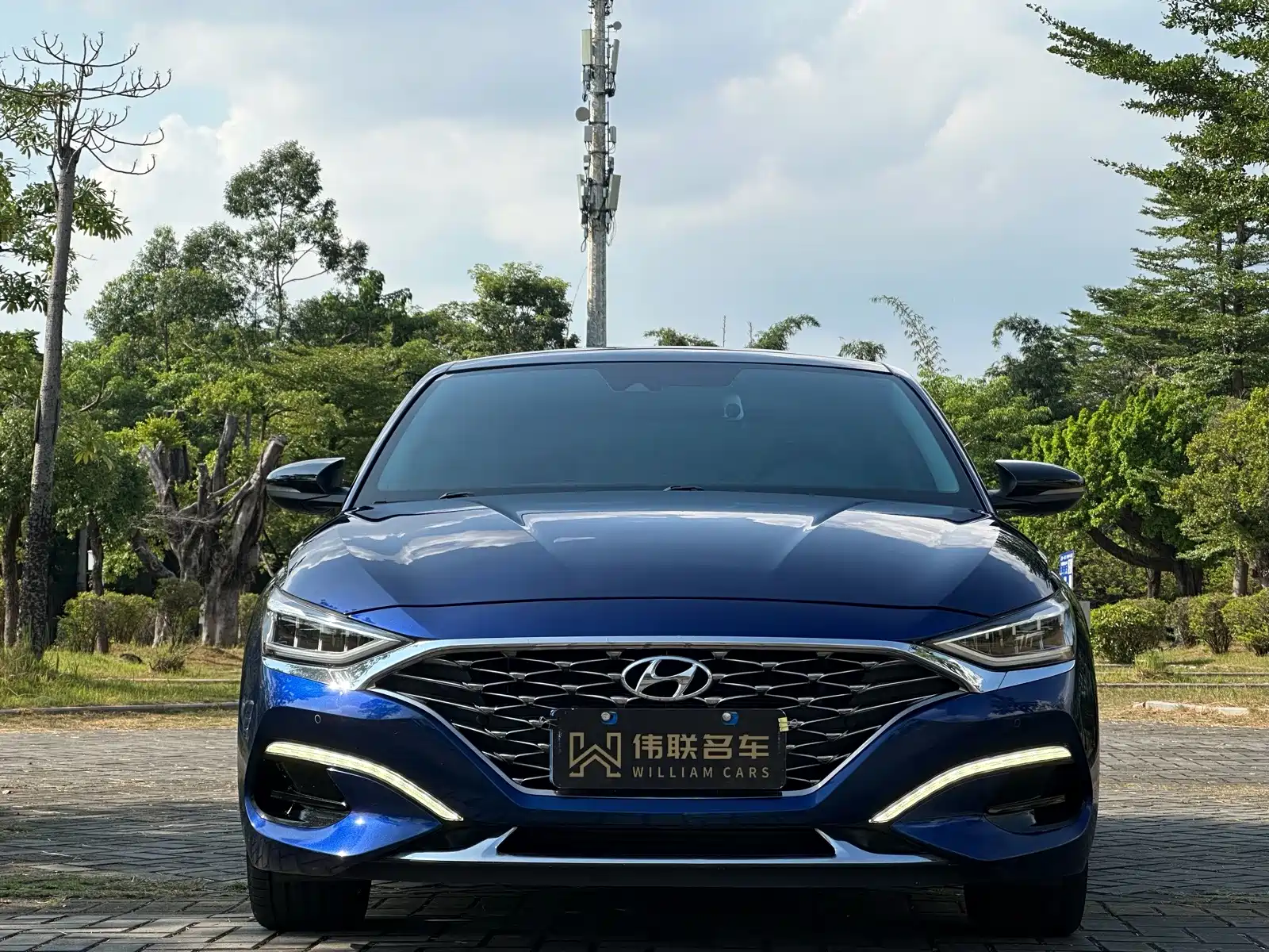 Photo 2 - Hyundai Lafesta