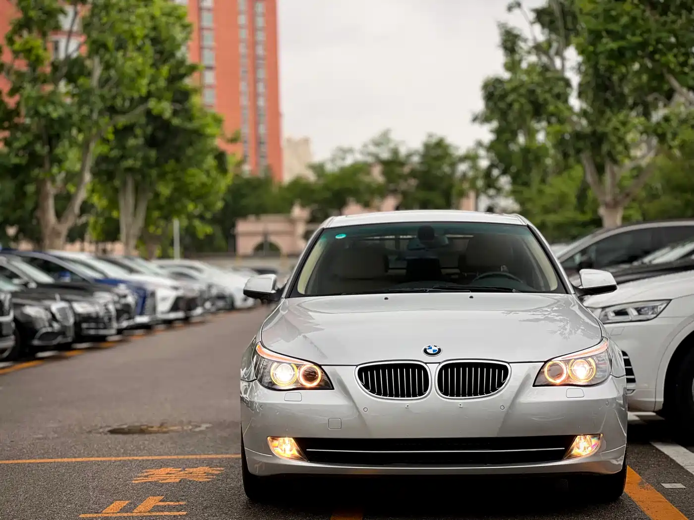 BMW 5 Series 2008 523Li Elegance фото 2