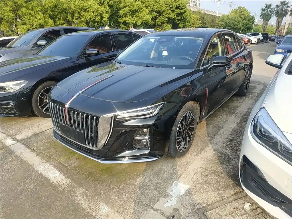 Hongqi H5 2024 2.0T Automatic Smart Connect Flag Smooth Edition фото 2