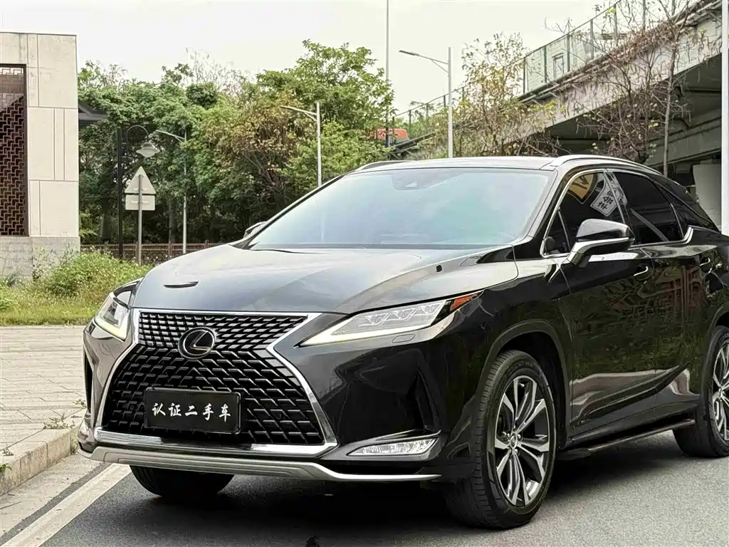 Lexus RX 2020 300 4WD Elegance Edition China VI фото 13