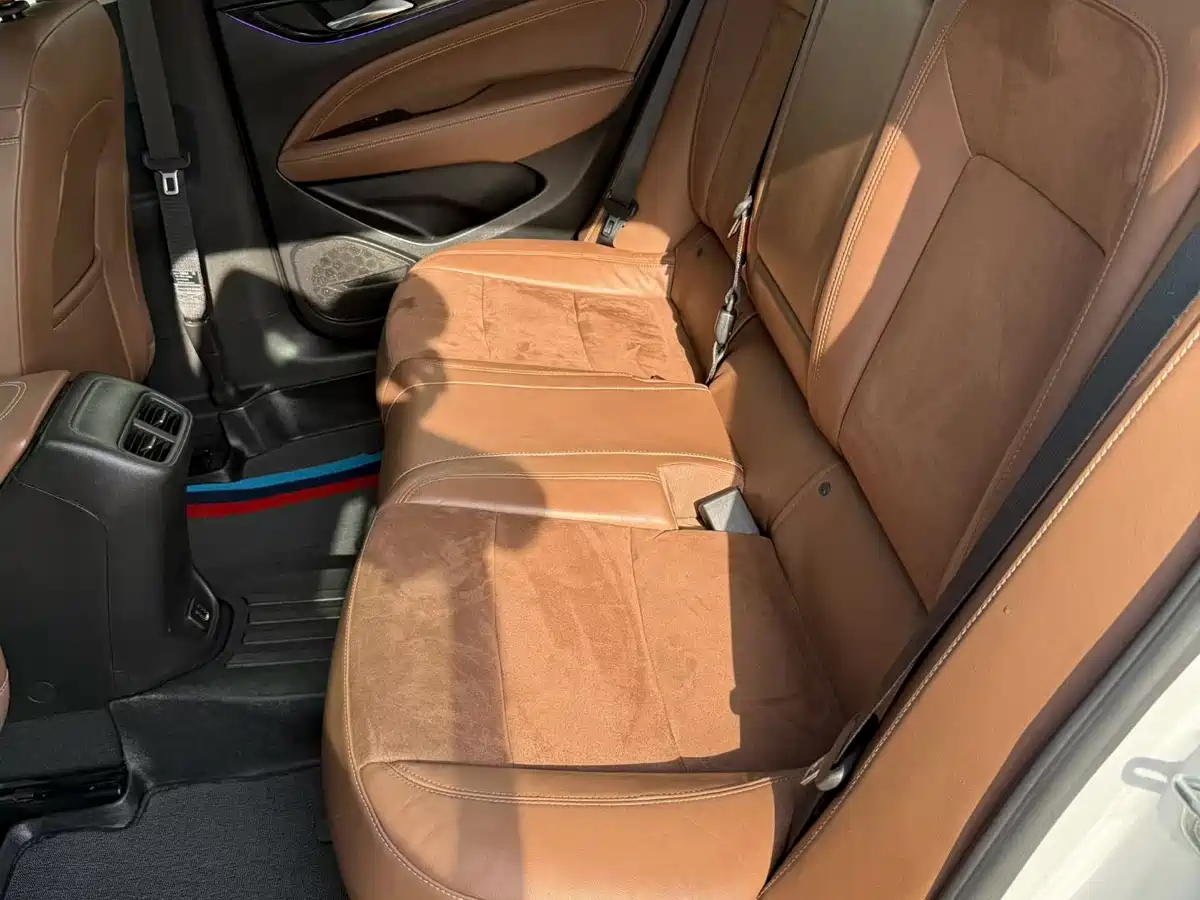 Buick Regal 2017 20T Elite Type фото 8