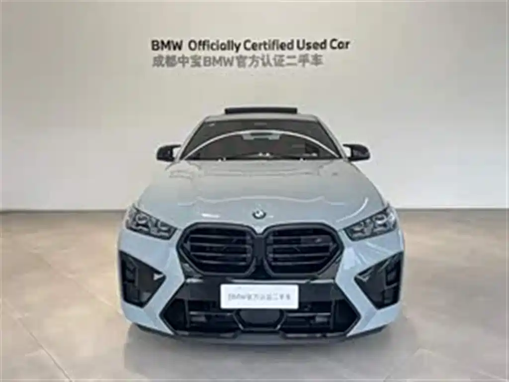 صورة 4 - BMW X6 M