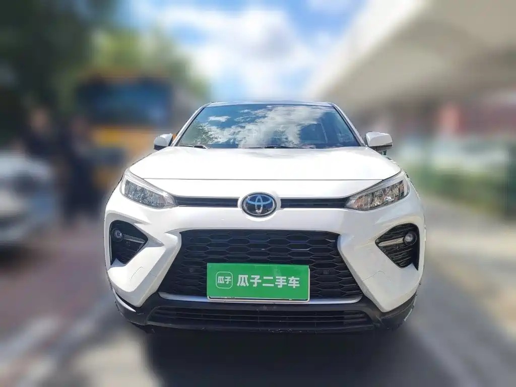 Toyota Wildlander 2020 2020 2.0L CVT AWD Luxury Edition