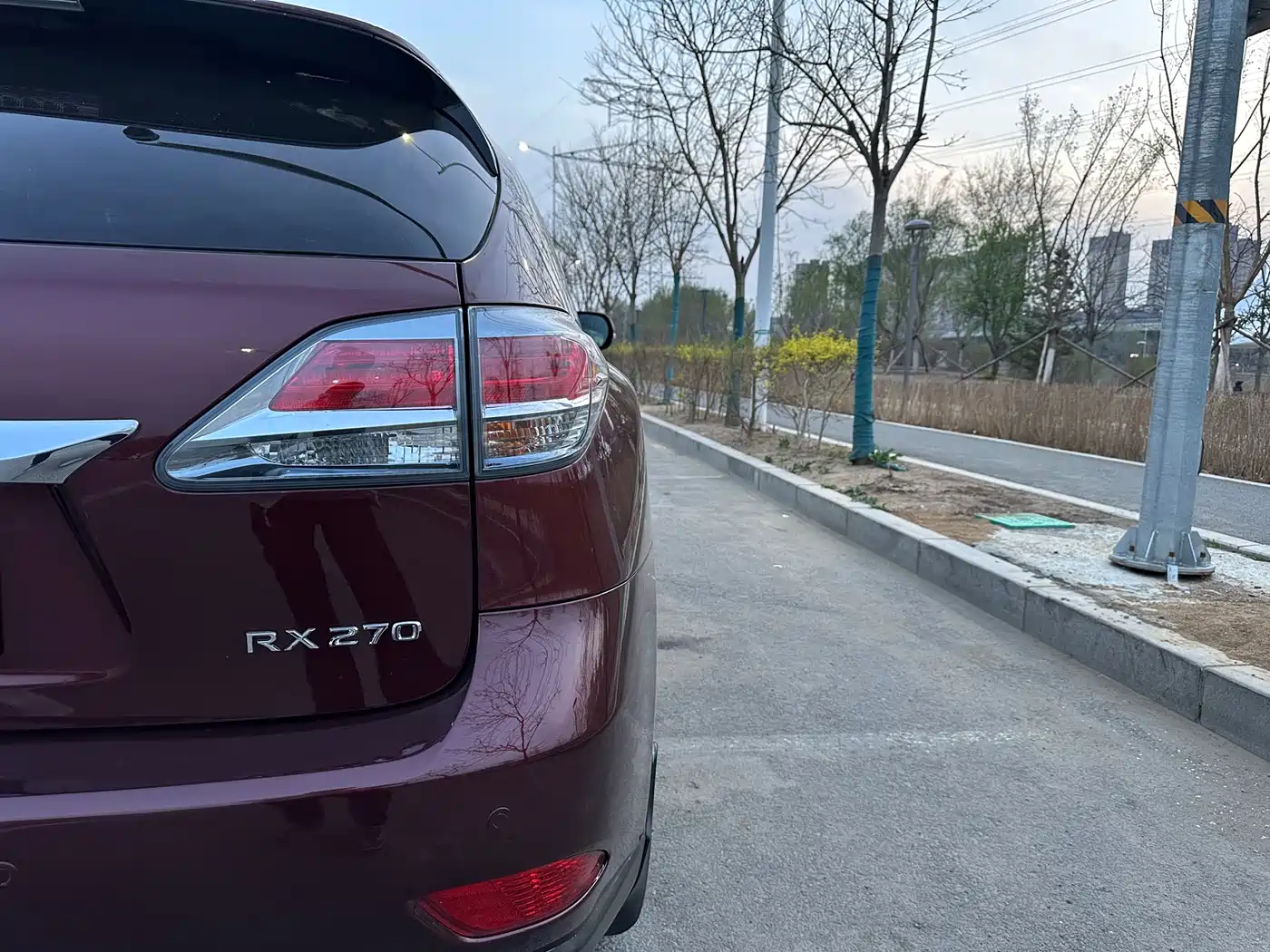 Lexus RX Classic 2014 270 Special Limited Edition фото 12