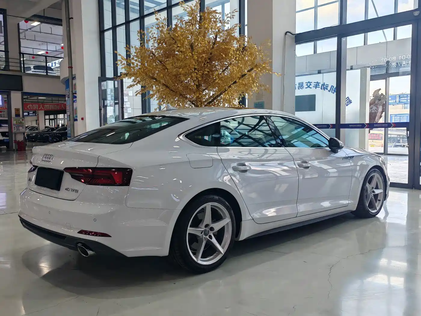 Audi A5 (Import) 2019 Sportback 40 TFSI Fashion фото 22
