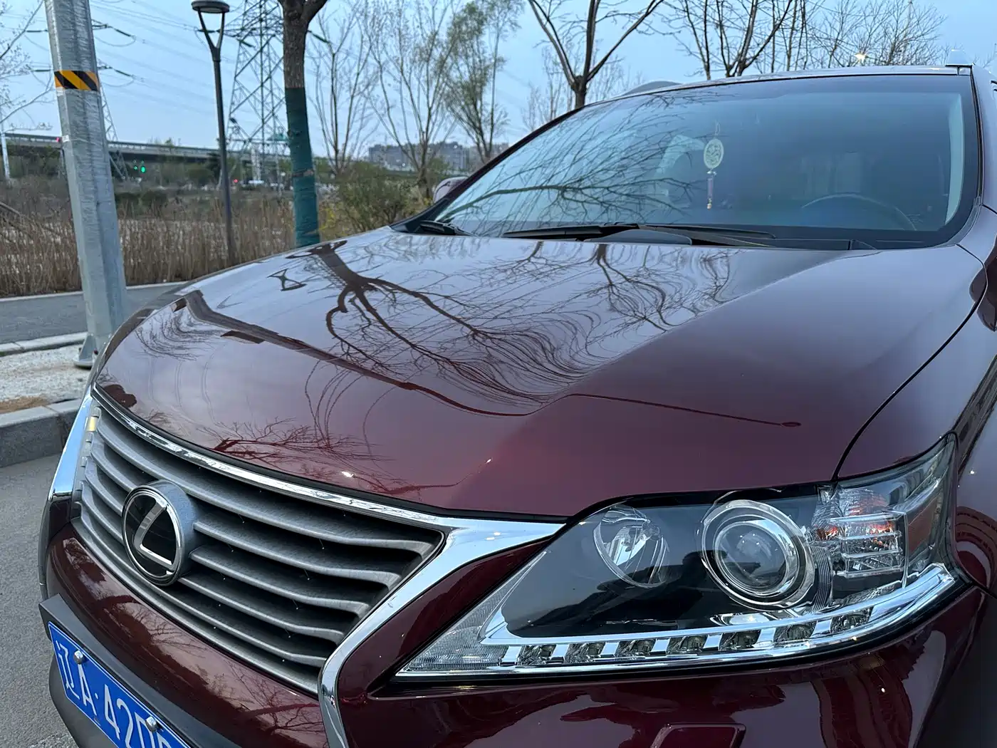 Lexus RX Classic 2014 270 Special Limited Edition фото 10
