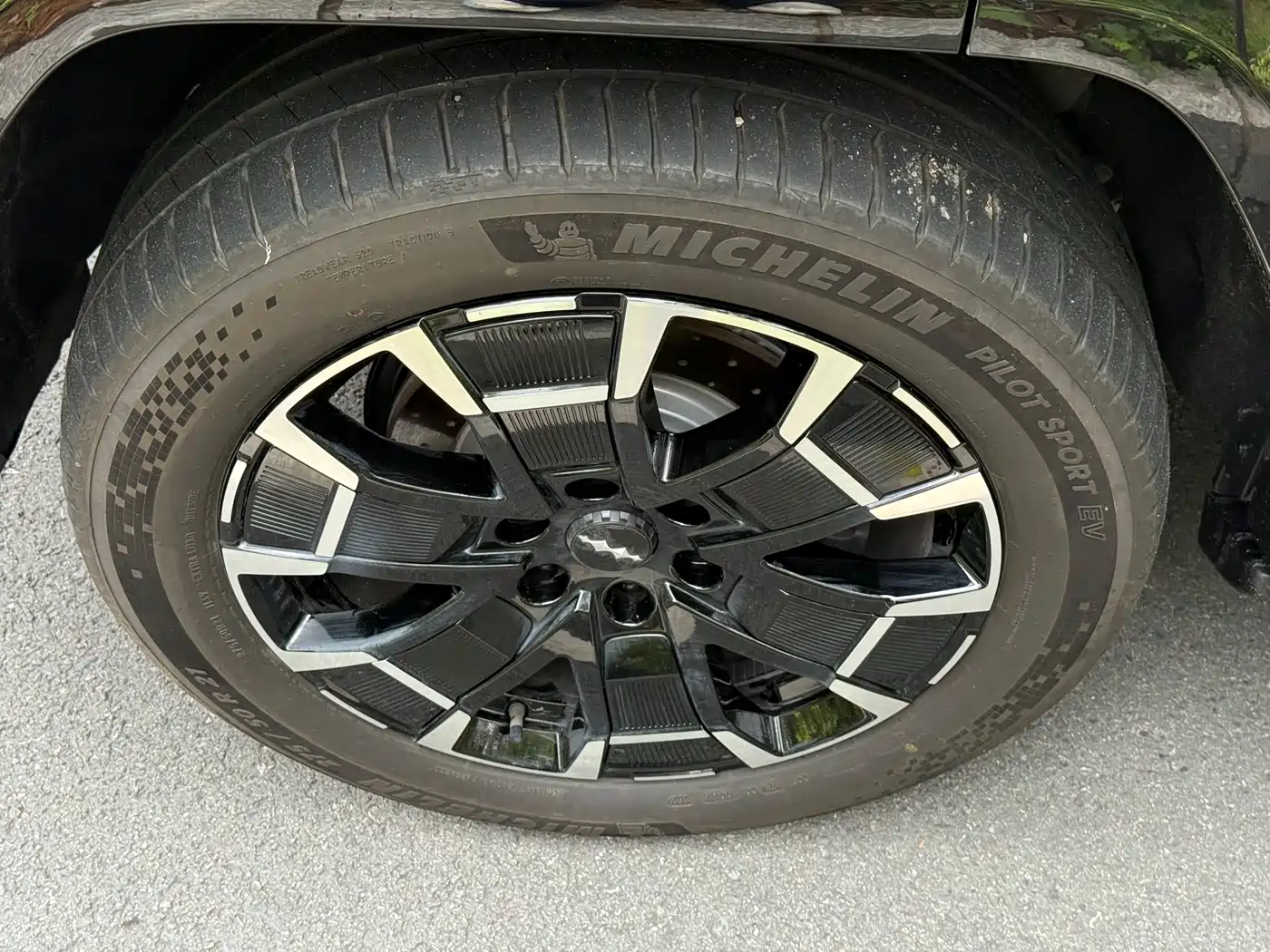 FANG CHENG BAO LEOPARD 8