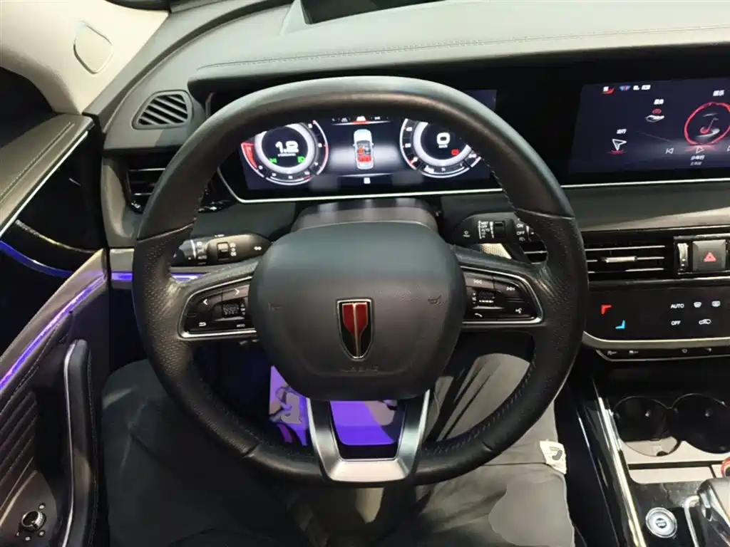Hongqi HS5 2022 Facelift 2.0T Smart Flag Enjoyment Edition фото 11