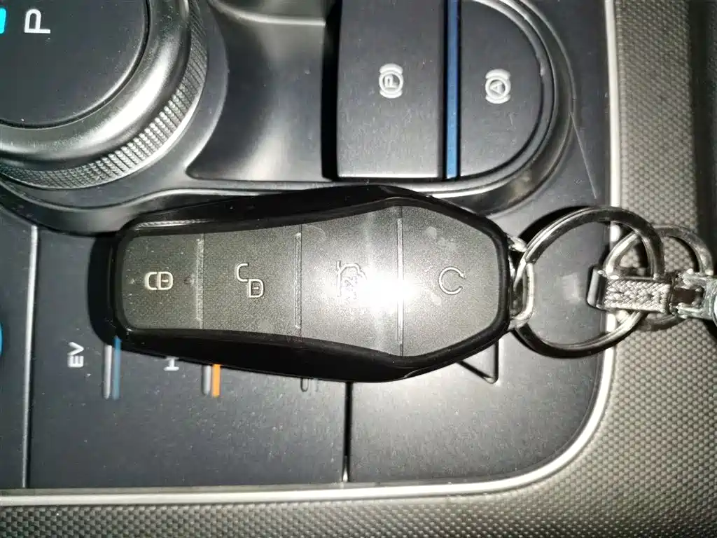 BYD Destroyer 05 2024 Glory Edition DM-i 55KM Luxury фото 17