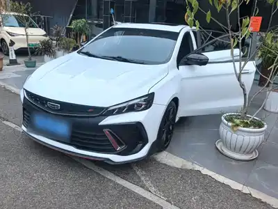 Geely Binrui