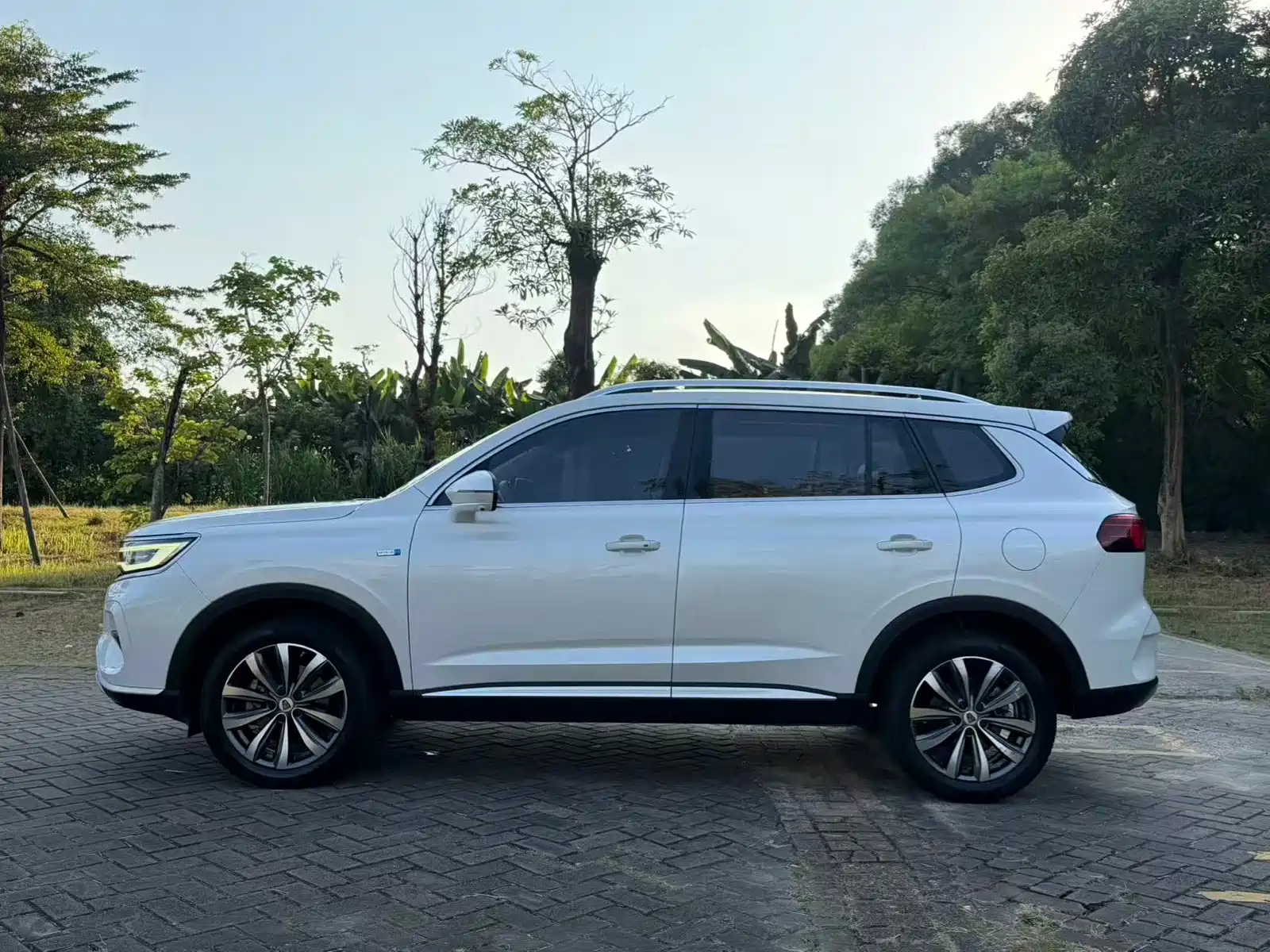 Фото 4 - Roewe RX5 MAX