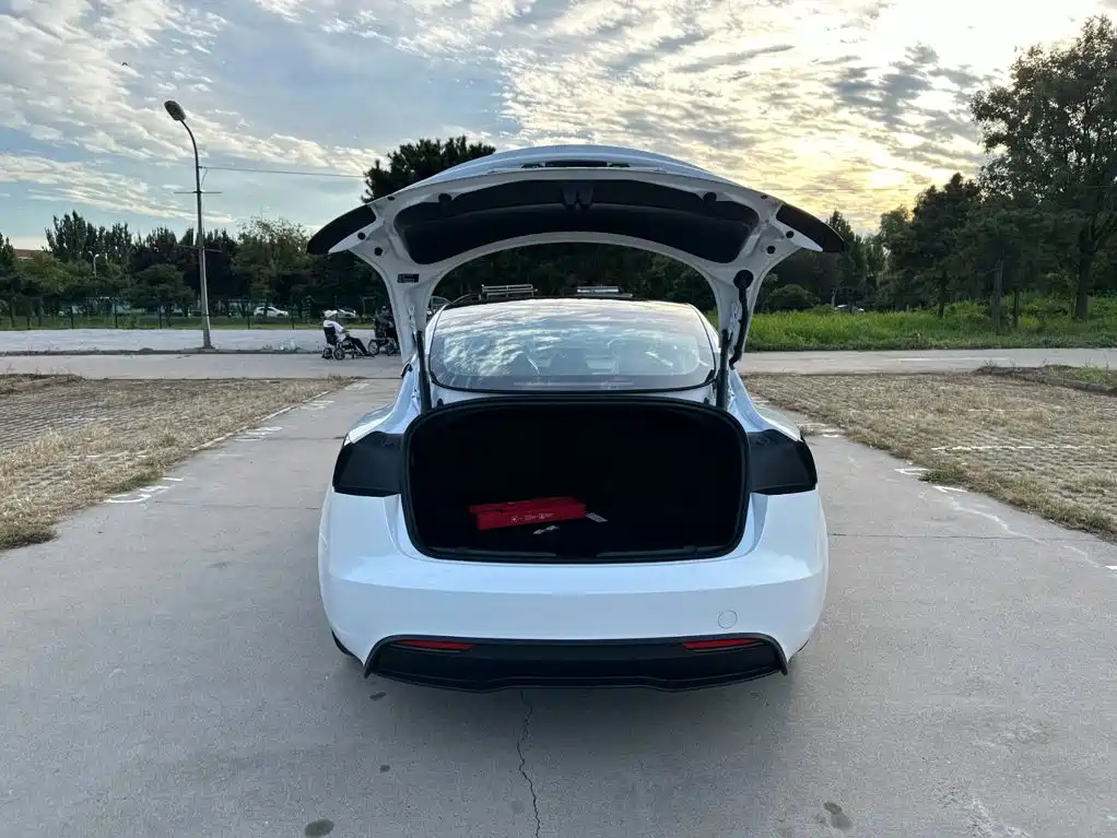 Фото 8 - Tesla Model 3