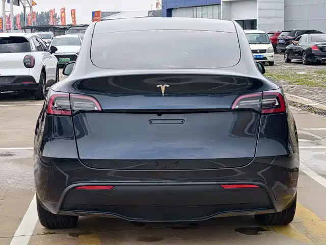 Tesla Model Y 2024 Rear-Wheel Drive Version — фото 5