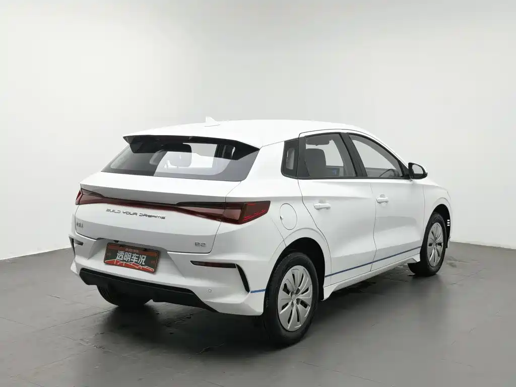 BYD e2 2020 2019 Standard Range Yue·Standard Model