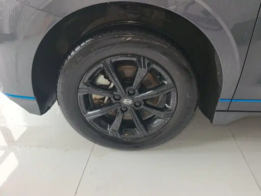 BYD e2 2021 2020 Upgraded Long Range Premium