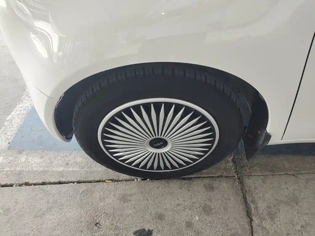 Ora Black Cat 2019 2019 Model 351km Smart Fun Edition