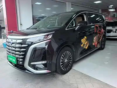 Denza D9