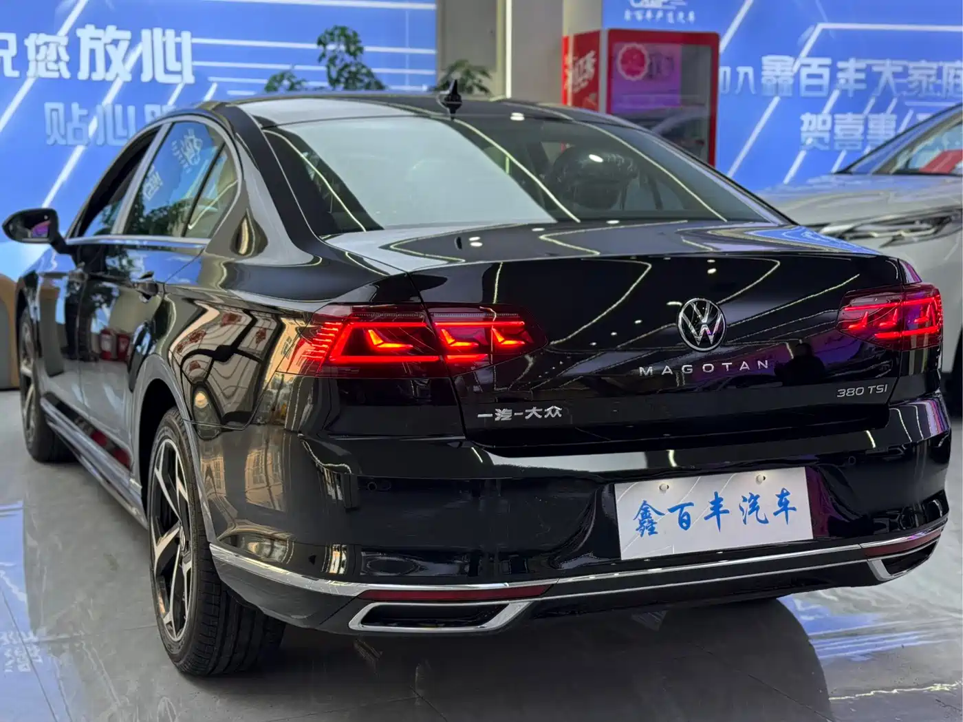 VOLKSWAGEN MAGOTAN