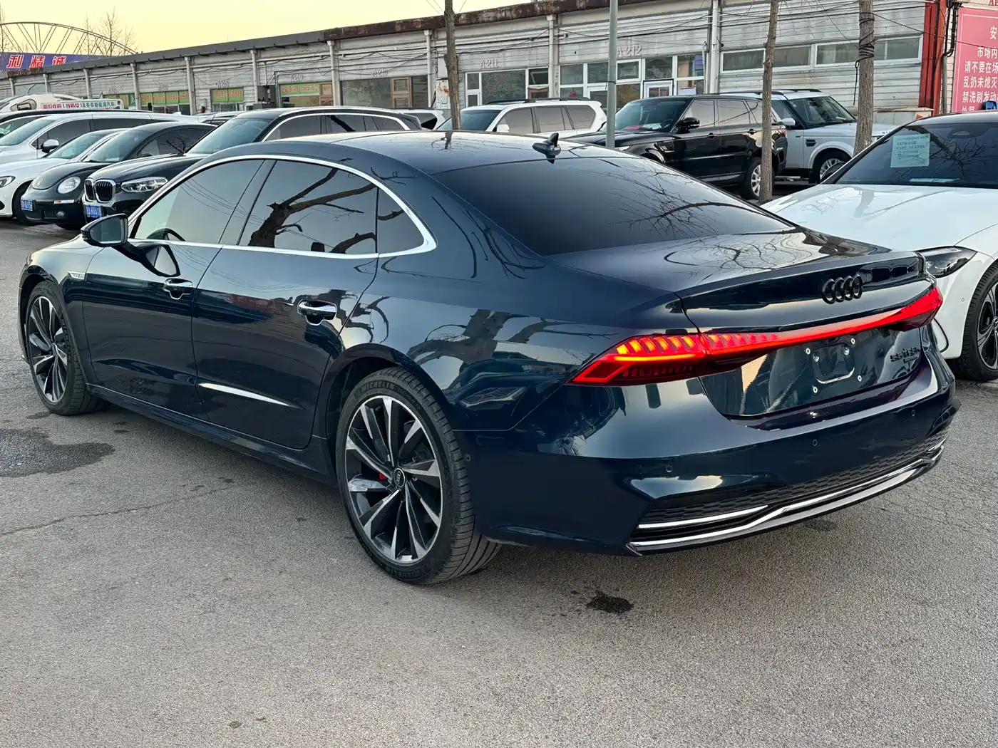 Audi A7L 2022 55 TFSI quattro S-line Horizon Edition Crystal Flow Package фото 18