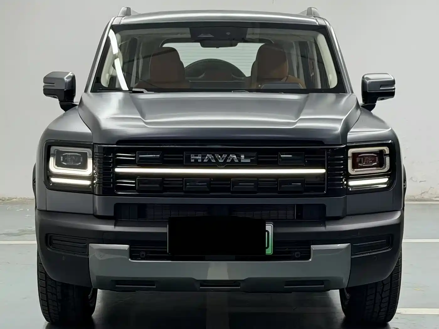 HAVAL RAPTORS NEW ENERGY