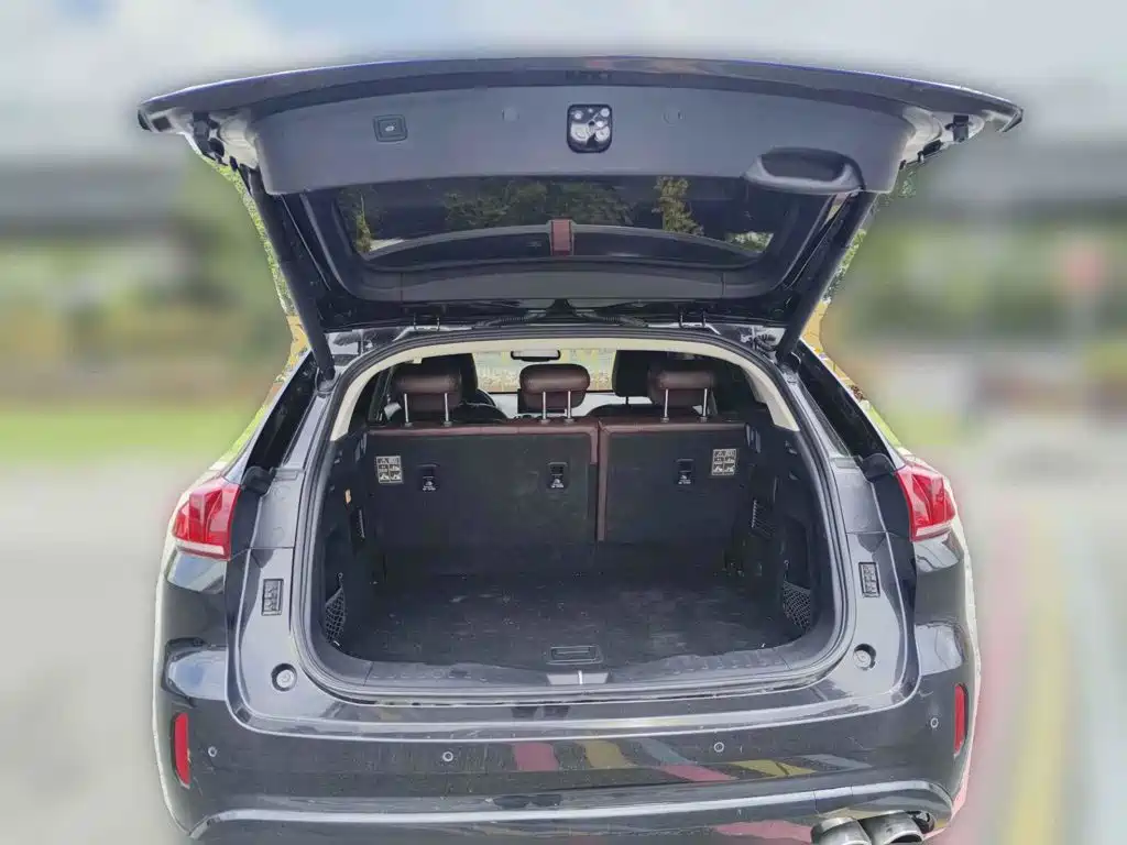 WEY VV5 2017 2017 2.0T Super Luxury Model