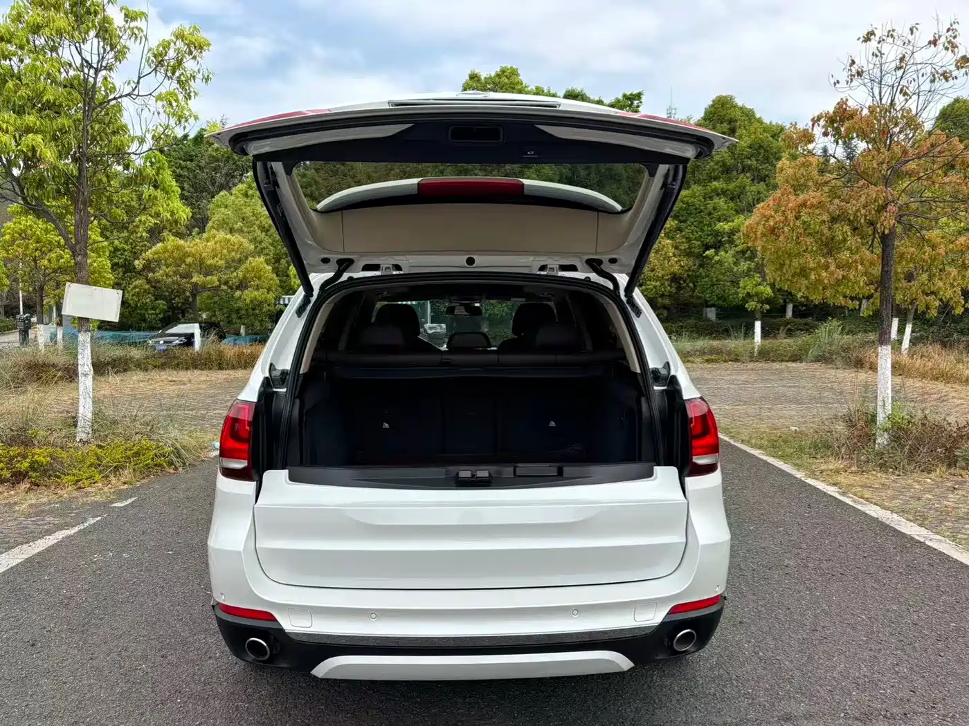 BMW X5 (Import) 2018 xDrive28i фото 14