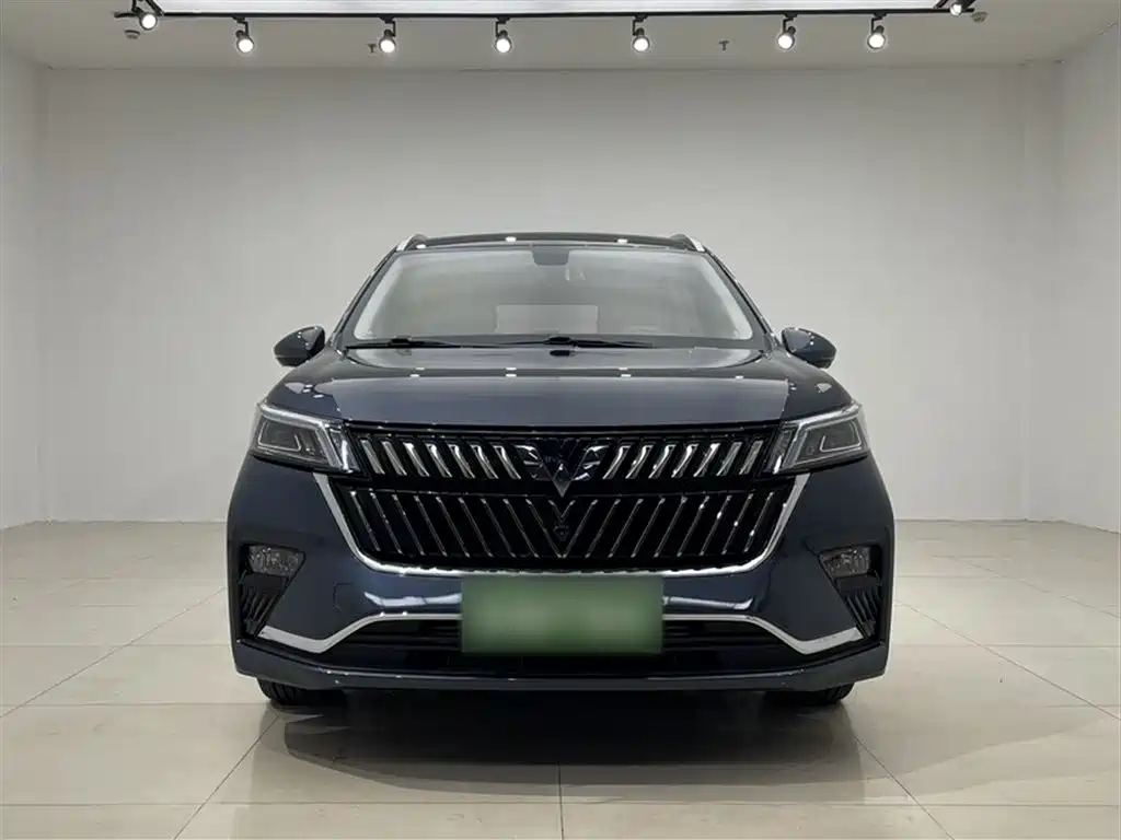 Wuling Motors Wuling Jiachen 2023 2022 1.5T CVT Exclusive Flagship Model