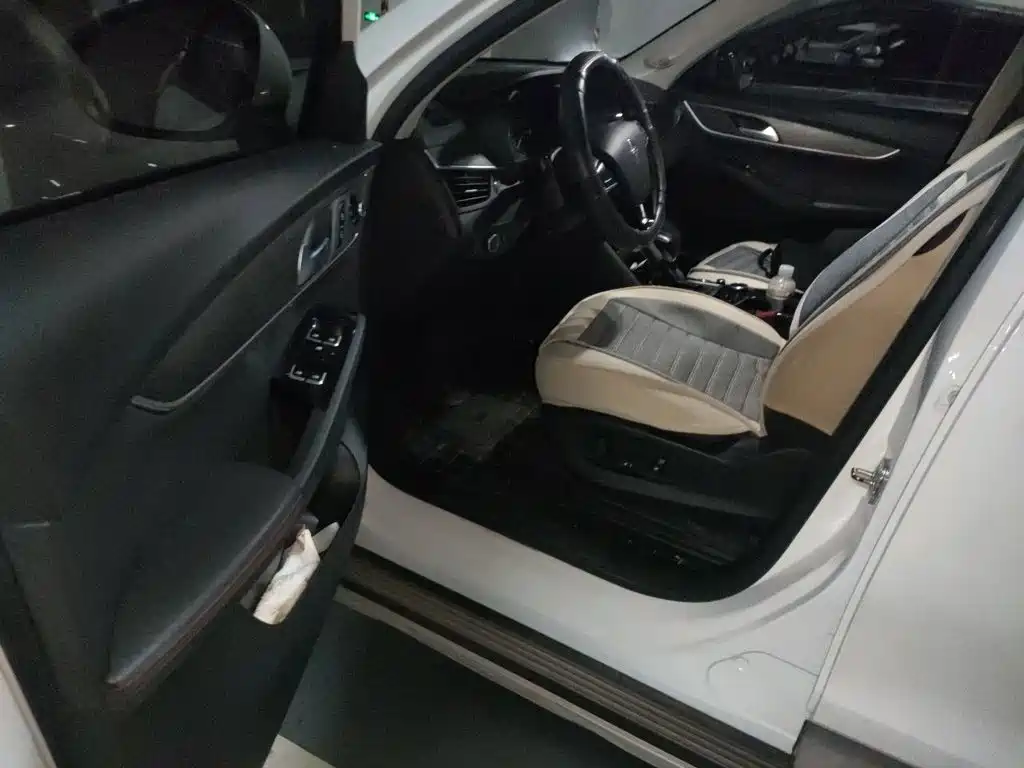 Borgward BX5 2018 2017 Model 20TGDI Automatic 2WD Vanguard Type