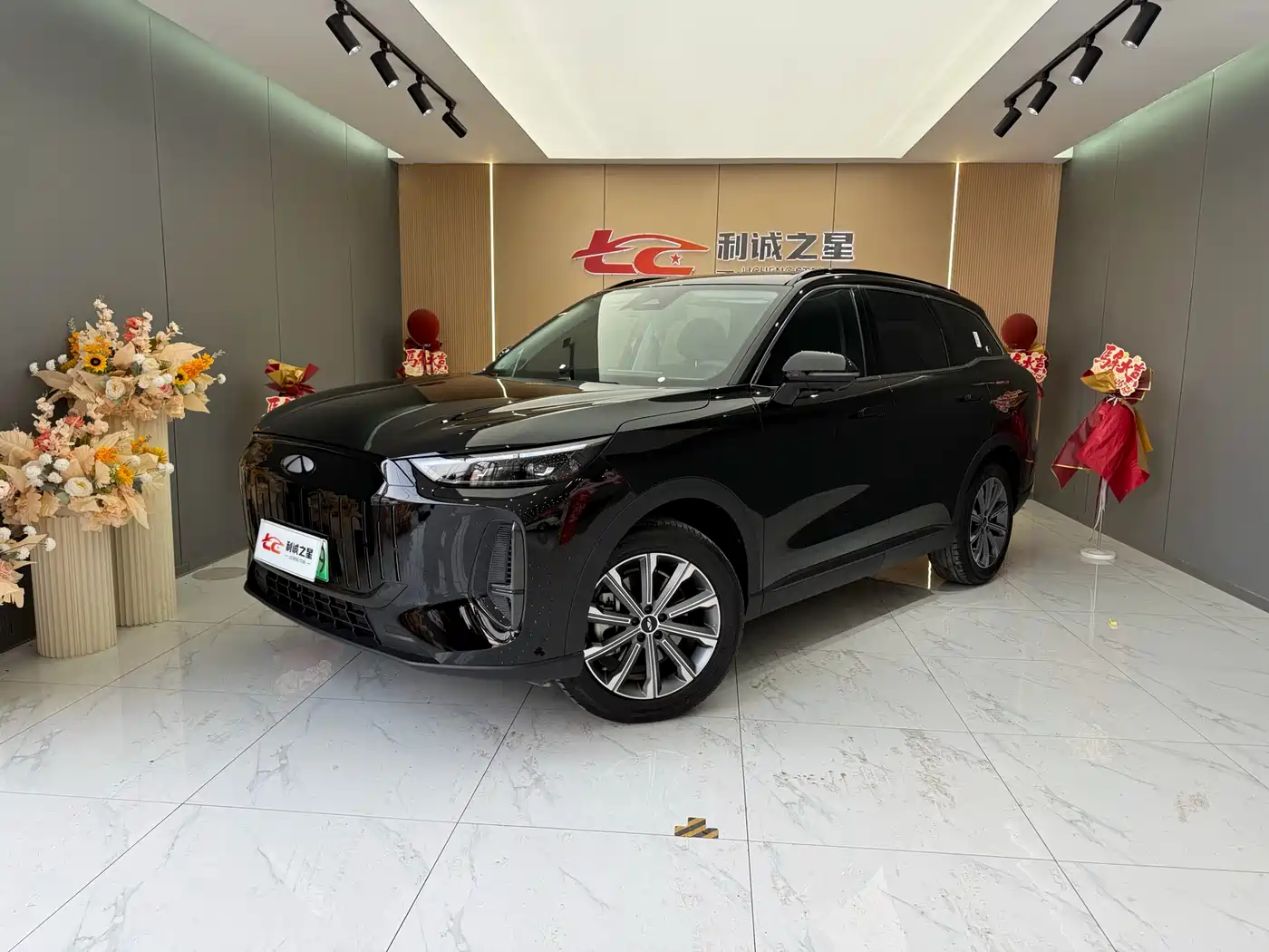 CHERY FENGYUN T9