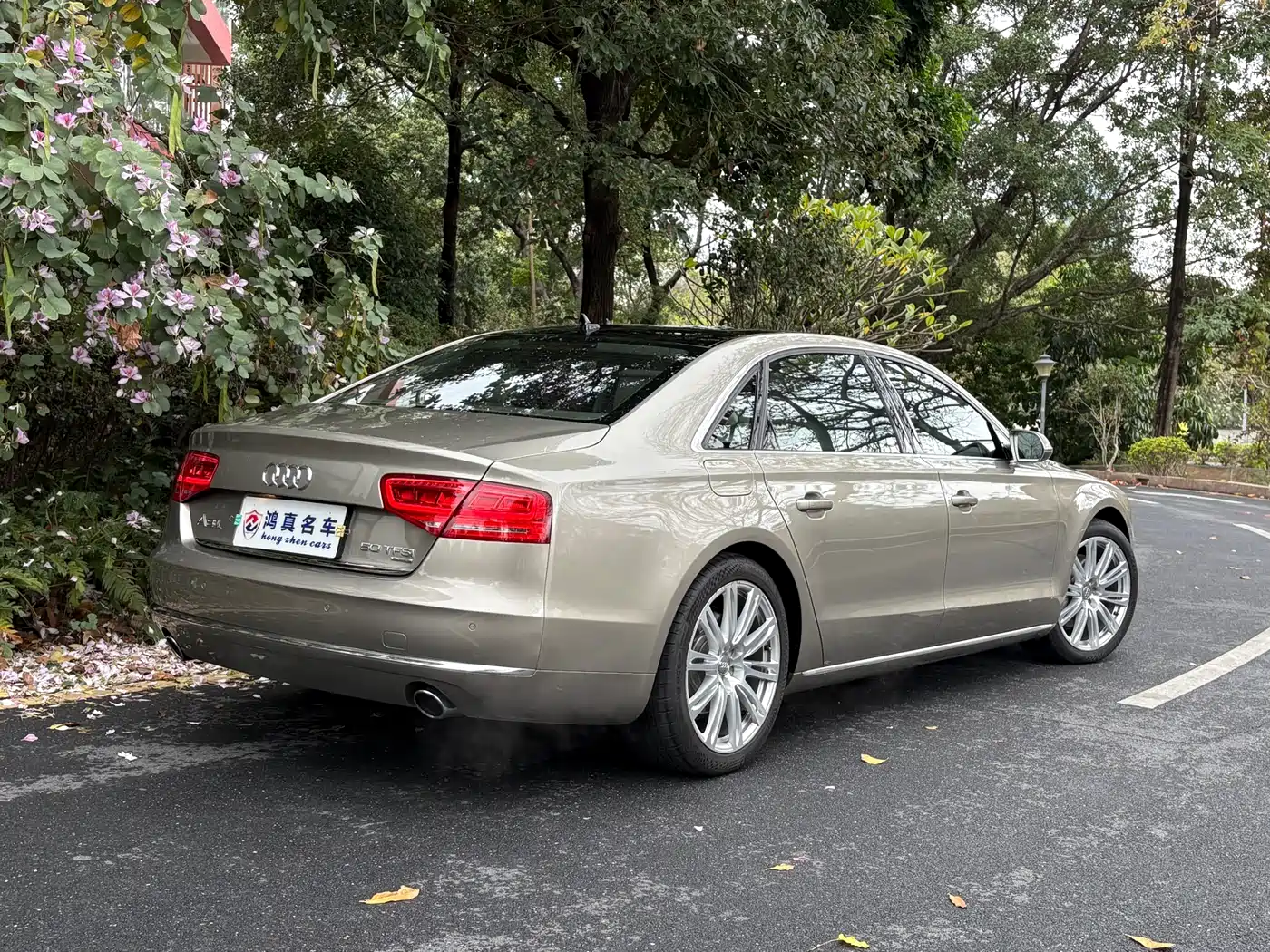 Audi A8 2012 A8L 50 TFSI quattro Luxury фото 5