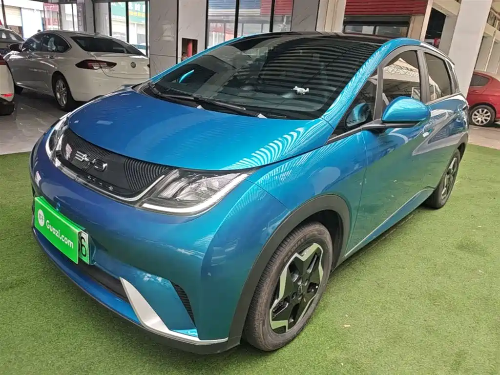 BYD Dolphin 2021 Model 405km Fashion Edition фото 2