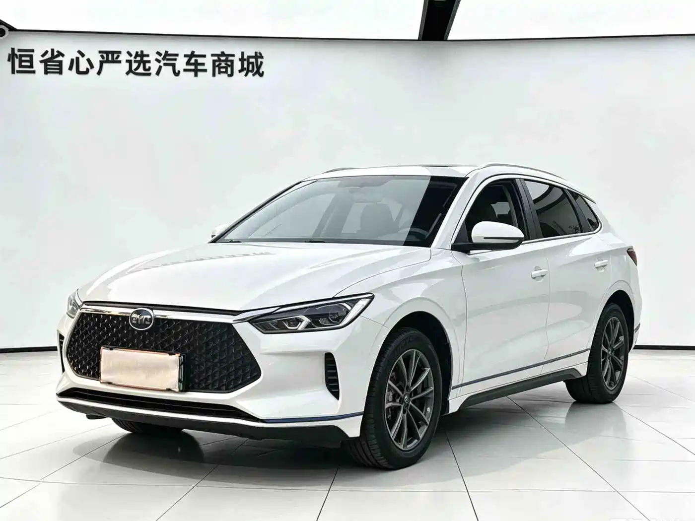 BYD e2 2021 Leading Comfort Edition