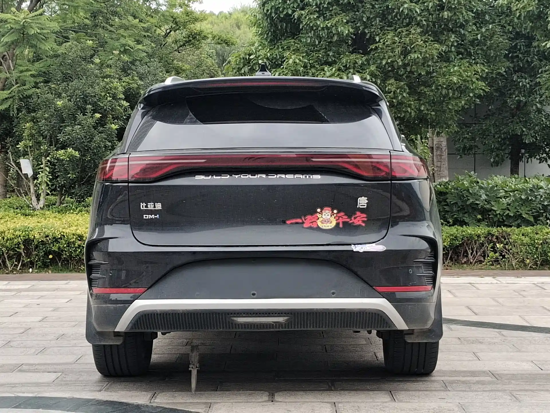 Photo 4 - BYD Tang New Energy