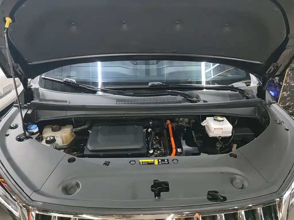 GAC Trumpchi Trumpchi M8 2023 Master Series Dual Hybrid Flagship Edition фото 20