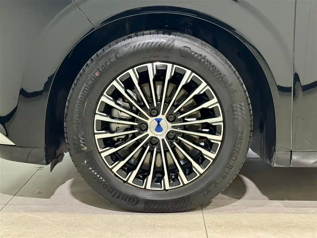 Denza D9 2024 DM-i 980 AWD Prestige фото 10