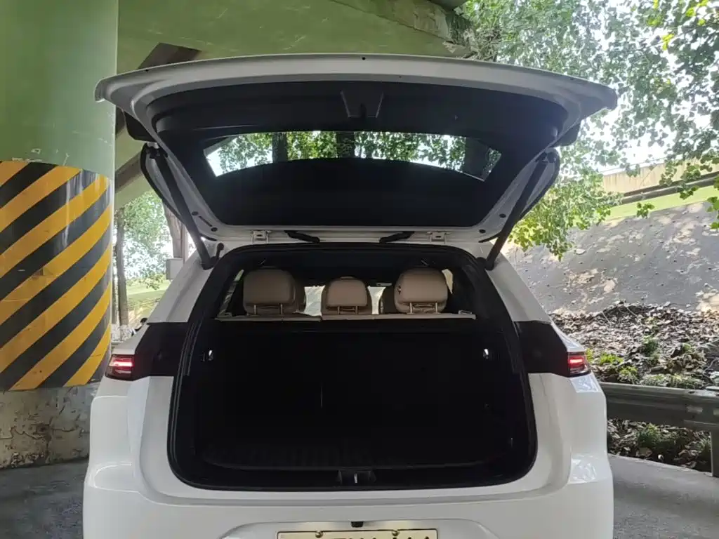 Li Auto L6 2024 2024 Pro