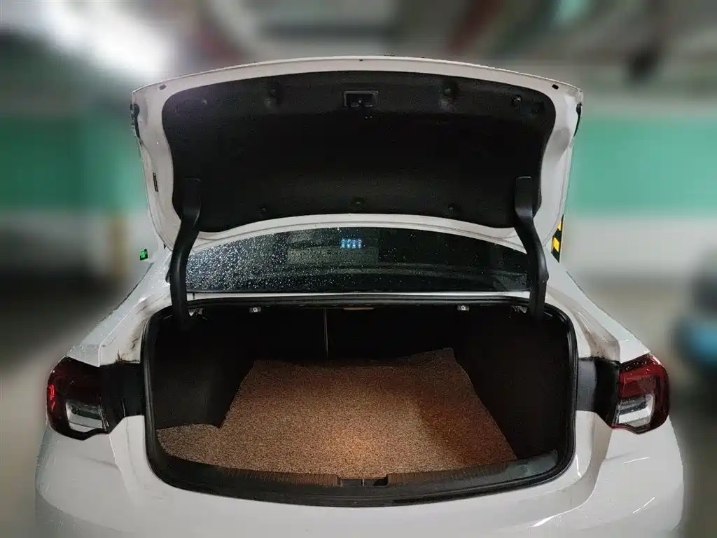 Buick Regal 2021 552T Elite фото 10