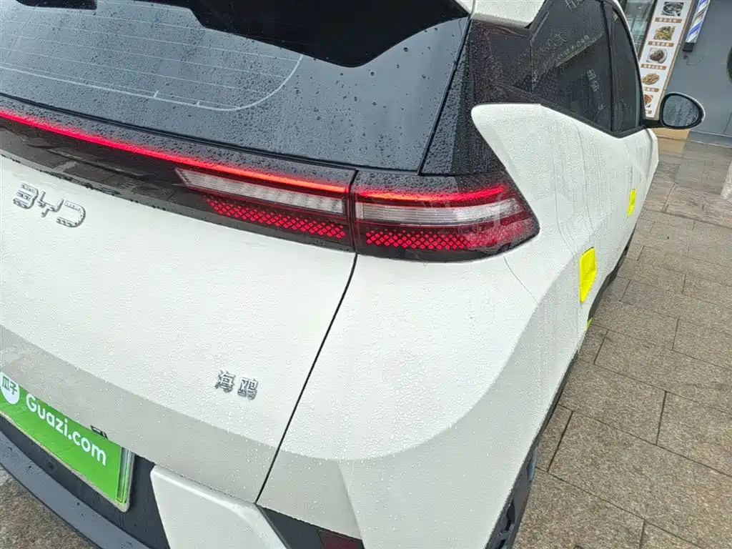 BYD Seagull 2025 Smart Drive Edition 305km Vitality Version фото 8