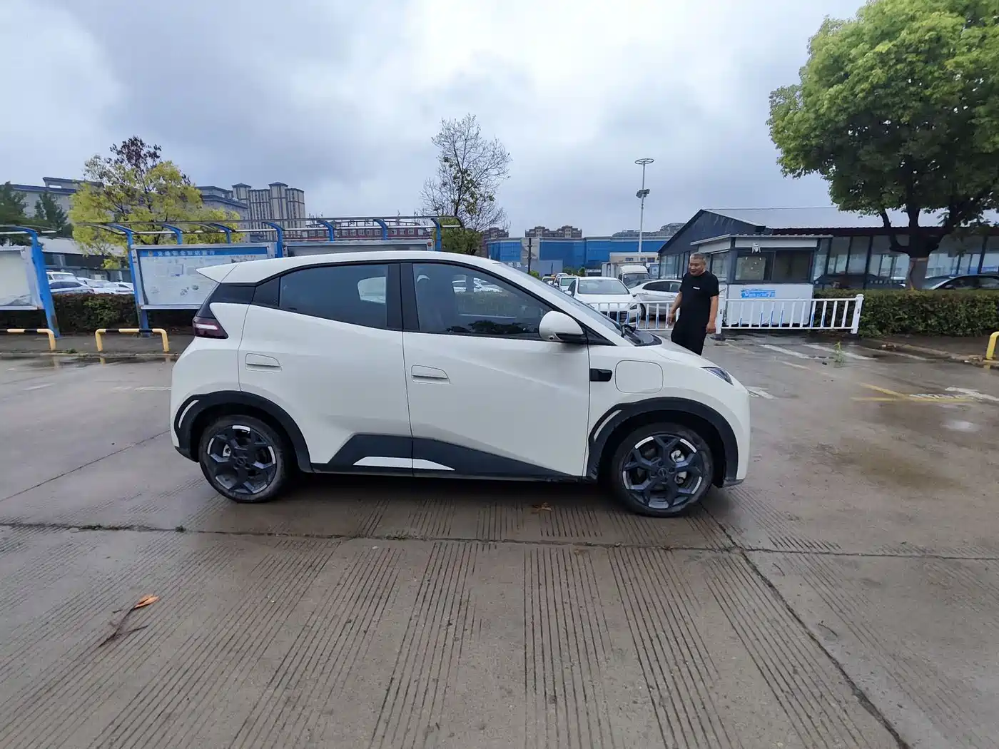 BYD Seagull 2025 Smart Drive Edition 305km Freedom Version фото 4