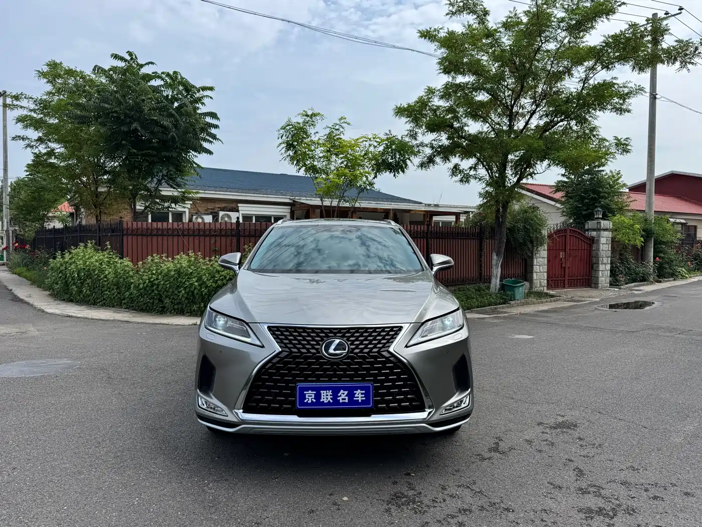 LEXUS RX