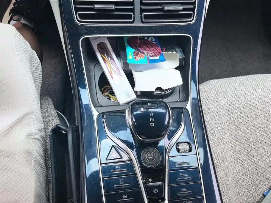 BYD Qin PLUS 2021 DM-i 120KM Premium фото 16