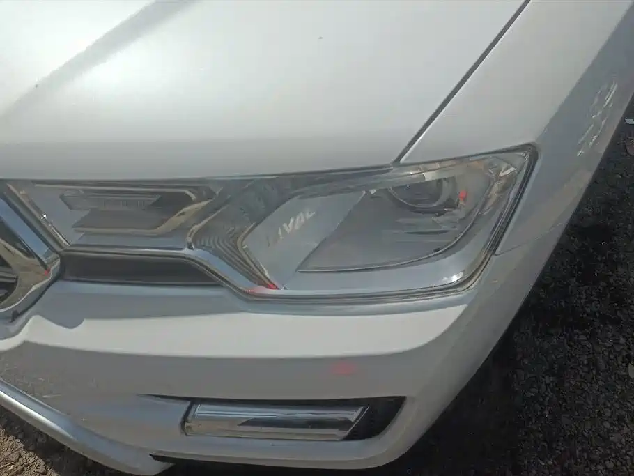 Haval H7 2016 Blue Label H7 2.0T Automatic Elite фото 5