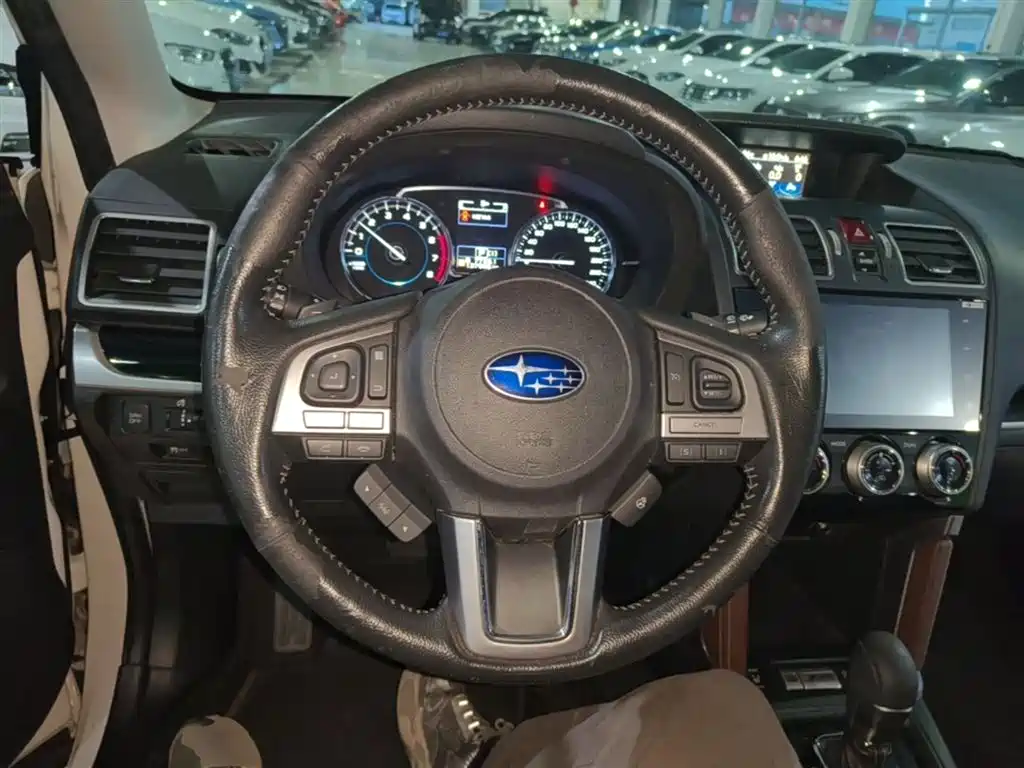 Subaru Forester 2017 2.5i Luxury Special Edition фото 11