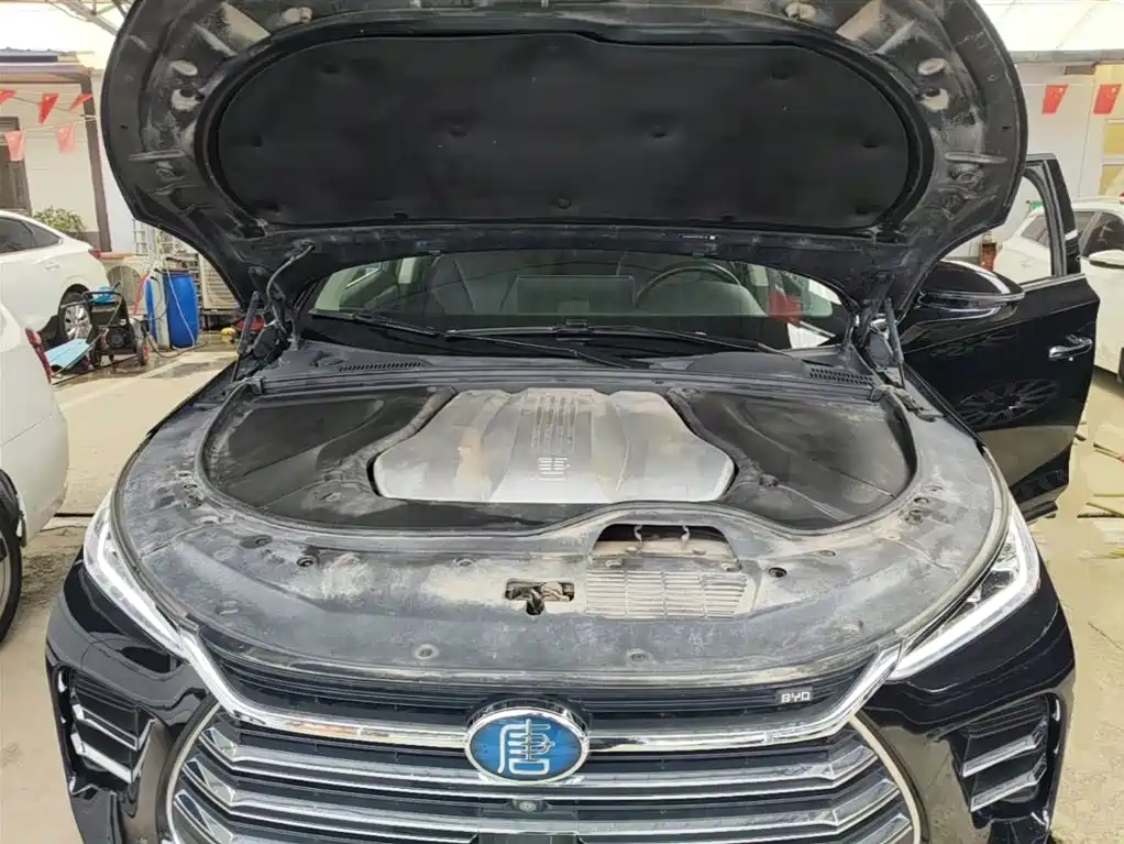 BYD Tang New Energy 2018 DM 2.0T AWD Intelligent Pioneer 7-Seater China V фото 20