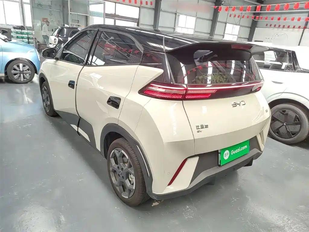 BYD Seagull 2024 Glory Edition 305km Freedom Edition фото 5