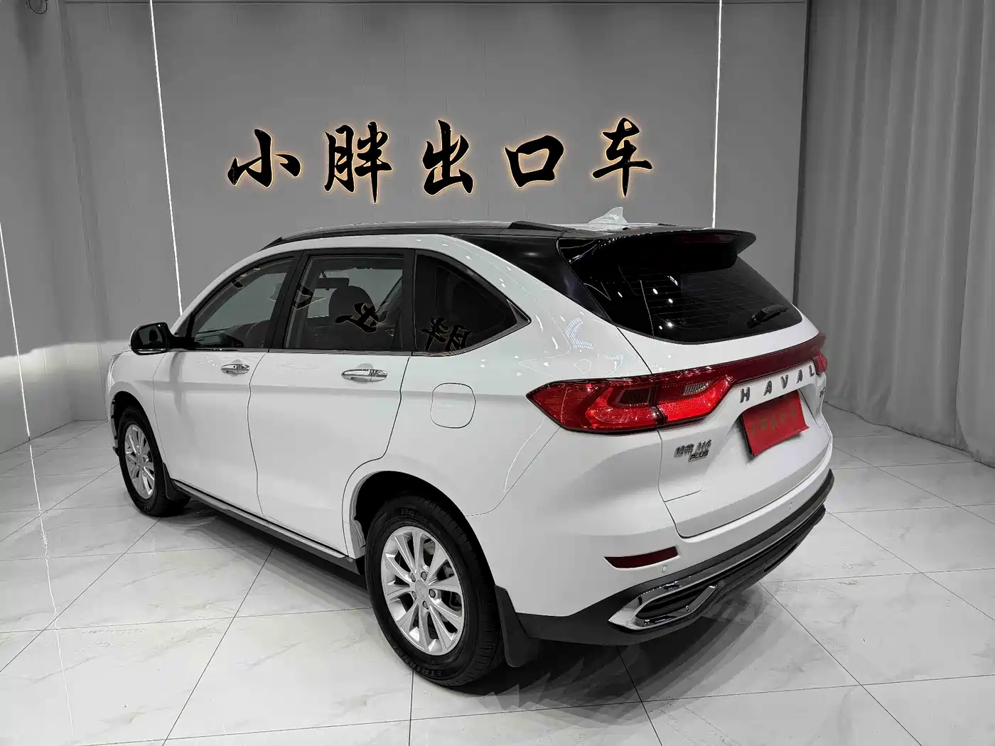 HAVAL M6