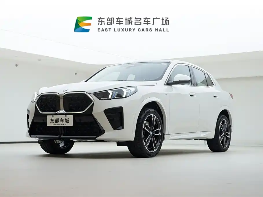 BMW X2 (Import) 2024 sDrive25i M Sport Package