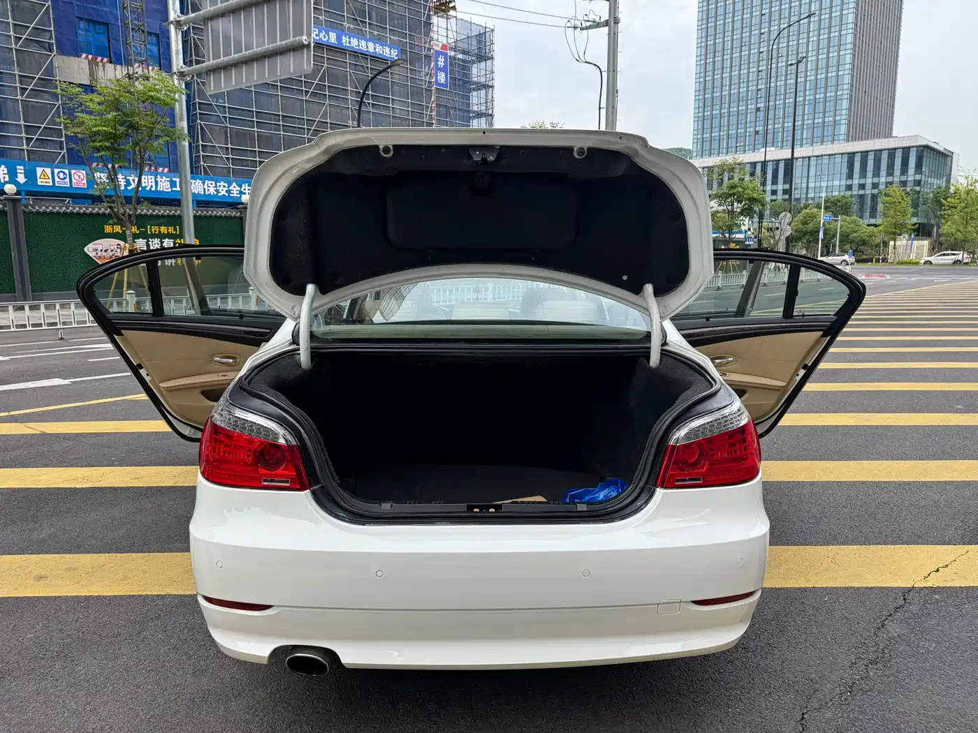BMW 5 Series 2009 520Li Premium фото 14