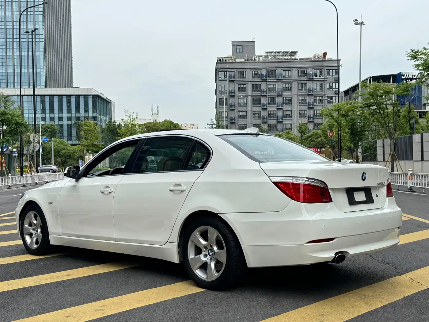 BMW 5 Series 2009 520Li Premium фото 5